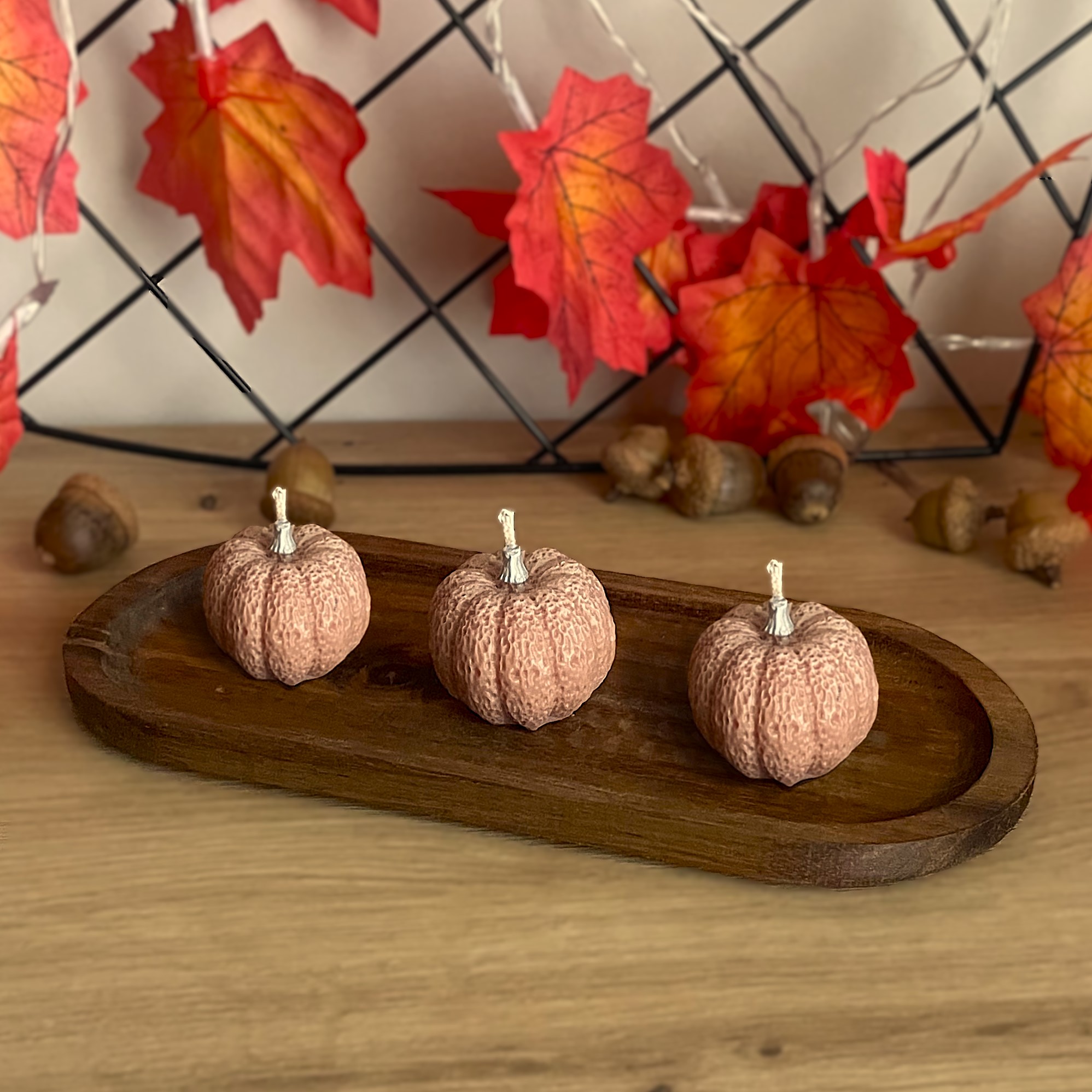 Zestaw 3 małych dyni sojowych - obrazek 5