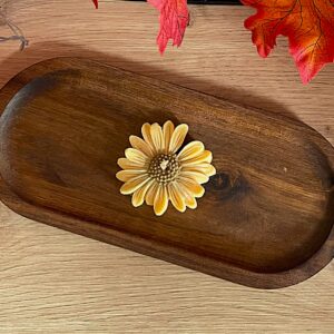 Jesienna drobna stokrotka