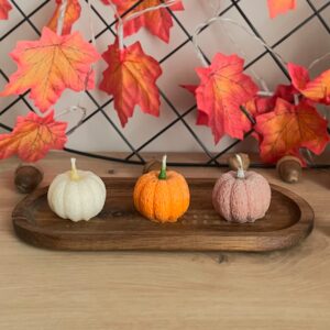 Zestaw 3 małych dyni sojowych