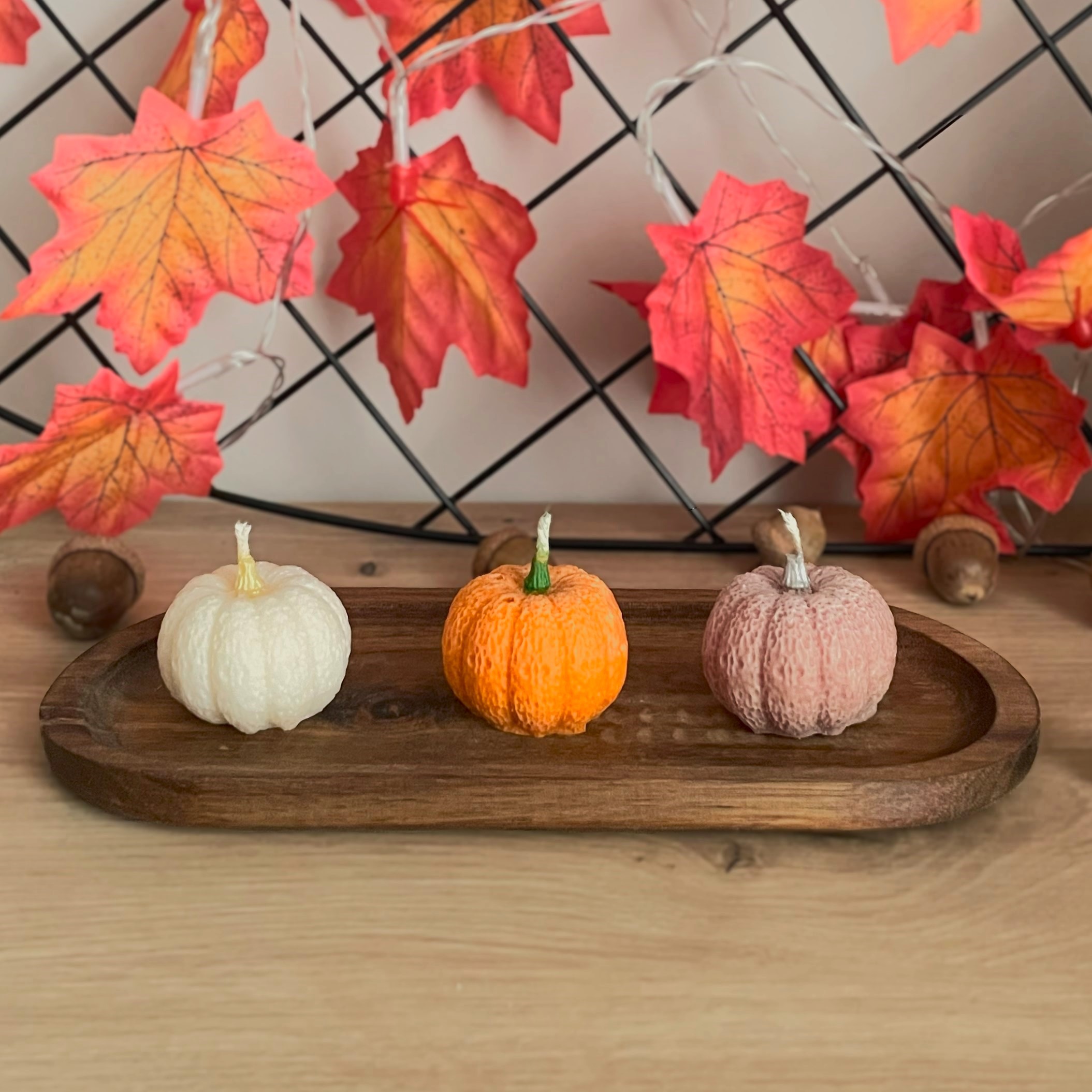 Zestaw 3 małych dyni sojowych