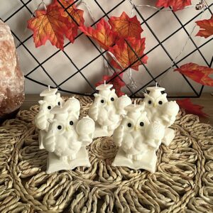 Zestaw 5 świec sojowych w kształcie Sowy