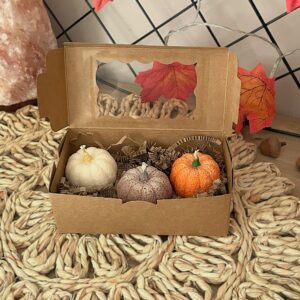 Zestaw 3 małych dyni sojowych w ozdobnym kartoniku